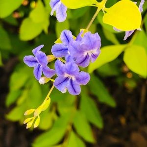 Meet your Posher, Kelley